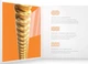 Струни для акустичної гітари D'Addario XSABR1047 XS 80/20 BRONZE EXTRA LIGHT (10-47) - зображення 4