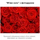 Покриття для столу 60 х 100 см, м'яке скло з фотодруком, Червоні троянди (1 мм) (МСПБ-fl13595) - зображення 4