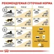 Сухой корм Royal Canin BRITISH SHORTHAIR ADULT для взрослых кошек Британской породы 4 кг (3182550756440) - изображение 8