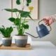 Лійка IKEA VATTENKRASSE 0,9 л темно-синя (805.360.12) - зображення 2