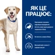 Сухий корм для собак, при харчовій алергії Hills Prescription Diet Canine d/d 2 кг (качка та рис) - изображение 3