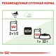 Вологий корм для кішок з чутливим травленням Royal Canin Digestive Care в соусі 85 г (9003579309537) - зображення 3