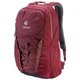 Рюкзак Deuter Gogo 25 maron-navy (3820016 5322) - изображение 1