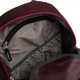 Рюкзак Deuter Gogo 25 maron-navy (3820016 5322) - изображение 11