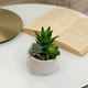 Горщик зі штучною рослиною MBM HOME DH-FLOWERS-16 GREEN/WHITE зелений/білий - зображення 2