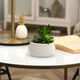 Горщик зі штучною рослиною MBM HOME DH-FLOWERS-16 GREEN/WHITE зелений/білий - зображення 3