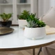 Горщик зі штучною рослиною MBM HOME DH-FLOWERS-16 GREEN/WHITE зелений/білий - зображення 8