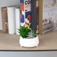 Горщик зі штучною рослиною MBM HOME DH-FLOWERS-16 GREEN/WHITE зелений/білий - зображення 10