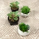 Горщик зі штучною рослиною MBM HOME DH-FLOWERS-16 GREEN/WHITE зелений/білий - зображення 13