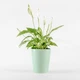 Горщик (ваза-кашпо) для квітів MBM HOME Зелений (DH-FLOWERS-29 GREEN) - зображення 4