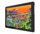 Графический планшет Huion Kamvas 22 Plus - изображение 3