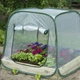 Теплица пластифицированная Garden Star 100х100х100 см - изображение 3