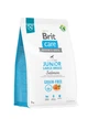 Корм Brit Care Dog Grain-free Junior Large Breed для молодых собак больших пород беззерновой с лососем 3 кг - изображение 1