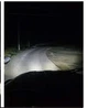 Комплект круглых фар. LED Ангельские глазки + фары на 4 линзы и свето-теневой границей!! 45W 12-24V - изображение 4