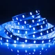 Світлодіодна стрічка Prolum SMD5630-60 IP20 Стандарт СИНЯ 1м - зображення 1