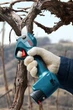 Аккумуляторный секатор Bosch Pro Pruner сет 2 акк. (06019K1021) - изображение 5