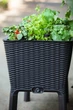 Грядка висока для рослин Keter Easy Grow 120L, антрацит (17194592) - зображення 3