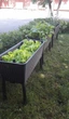 Грядка висока для рослин Keter Easy Grow 120L, антрацит (17194592) - зображення 5