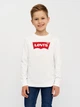 Подростковая футболка с длинными рукавами для мальчика Levi's LVB L/S Batwing Tee 9E8646-001 140 см (3665115032734) - изображение 1