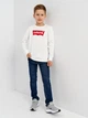 Подростковая футболка с длинными рукавами для мальчика Levi's LVB L/S Batwing Tee 9E8646-001 140 см (3665115032734) - изображение 3