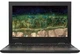 Ноутбук 2-в-1 Lenovo Chromebook 500e (81ES000ACF) - зображення 1