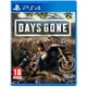 Игра Days Gone для PS4 (RU) [80106] - изображение 1