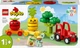 Конструктор LEGO DUPLO Трактор для вирощування фруктів та овочів 19 деталей (10982) - зображення 1