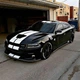 Полосы на Dodge charger ARB 3D TUNING STUDIO белые 3000х1000х0.060мм - изображение 1