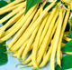 Семена Фасоль Чародейка, спаржевая, 10 г (GL Seeds) - изображение 2