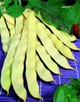 Семена Фасоль кустовая Марвел ди Венеция, 10 г (GL Seeds) - изображение 2