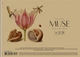 Альбом для малювання 3 шт. MUSE. Альбом Школярик 30 арк. А4 PB-SC-030-319 4823088235319 - изображение 3