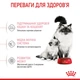 Сухий корм для кошенят Royal Canin Mother & Babycat 2 кг - изображение 4