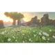 The Legend of Zelda: Breath of the Wild + The Legend of Zelda: Tears of the Kingdom Double Pack - изображение 5