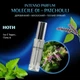Пробник Духов унисекс Intenso Parfum (версия MOLECULE 01 + MANDARIN ESCENTRIC MOLECULES) 6ml - изображение 2