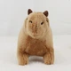 Плюшевая мягкая игрушка Капибара Capybara тренды TikTok декор для детской комнаты подарок на день рождения 18см - изображение 3
