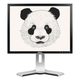 Монитор 20.1" Dell 2007FPb S-IPS PIVOT USB-Hub DVI/VGA/S-Video/CompositeVideo UXGA 1600x1200 Б/У - изображение 1