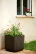 Горшок для цветов Keter Cube Planter M коричневый (17202066) - изображение 6