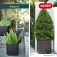 Горшок для цветов Keter Cube Planter M антрацит (17202066) - изображение 6