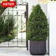 Горшок для цветов Keter Cube Planter M коричневый (17202066) - изображение 8