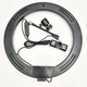 Комплект блогера Ringlight кольцевая лампа LED S31 30см 16W со штативом 2м + Bluetooth пульт - изображение 9