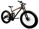 Горный велосипед Unicorn фэтбайк Fet-Bike 26" Рама 17 оранжевый - изображение 1