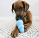 Kong Puppy іграшка для цуценят M 9 см - колір в асортименті - изображение 3