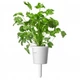 Змінний картридж Click and Grow Коріандр 8417 - изображение 4