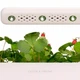 Стартовий набір Click and Grow білий 7205 SG3 - изображение 4