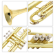 Труба Brass Trumpet Bb - изображение 4