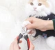 Кігтеріз для собак і котів, 15,5 * 5,5 см, у блакитному кольорі - зображення 6