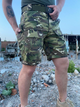 Шорти Tactical Shorts Rip-Stop 46 мультикам - изображение 2