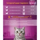 Сухий корм для кішок Whiskas з яловичиною 800 г (5998749144145) - зображення 3