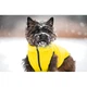 Курточка для животных Collar AiryVest "Colors of freedom" L 65 (4450-4020) - изображение 2