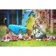 Курточка для животных Collar AiryVest "Colors of freedom" L 65 (4450-4020) - изображение 6